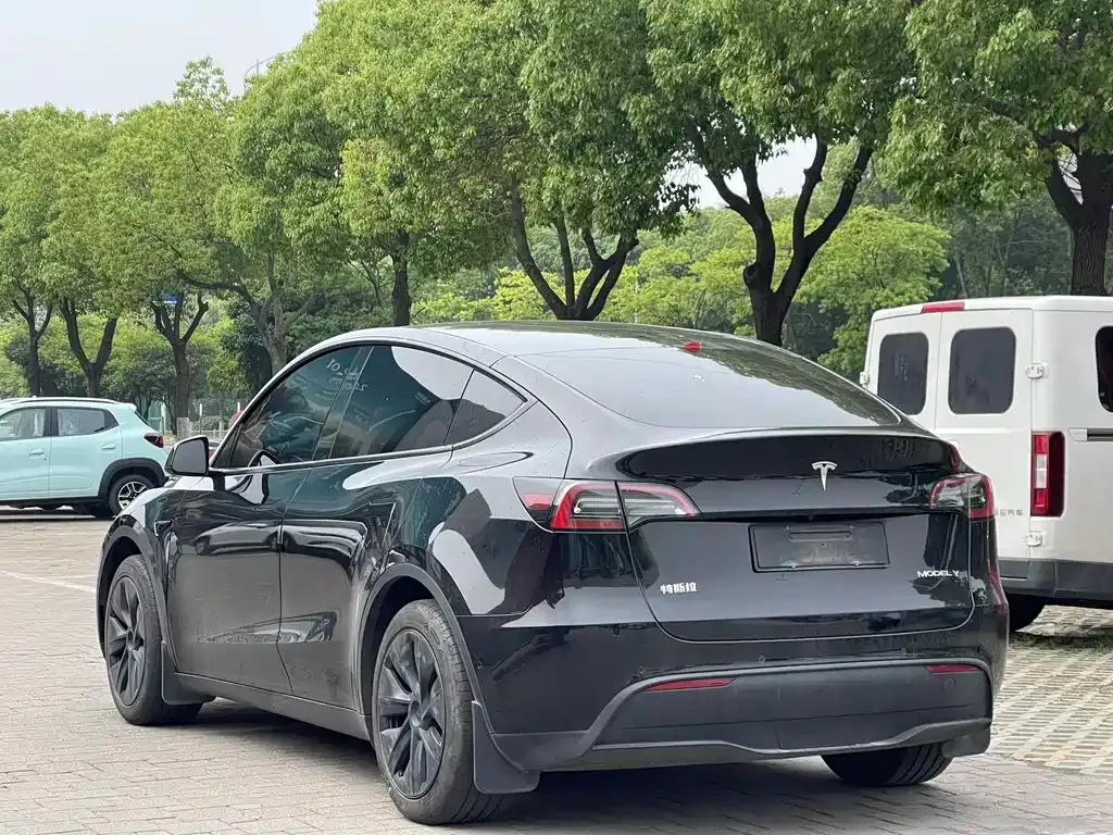 Tesla Model Y — фото 9