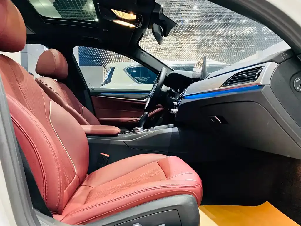 BMW 5 Series New Energy 2022 из CN, фото 8