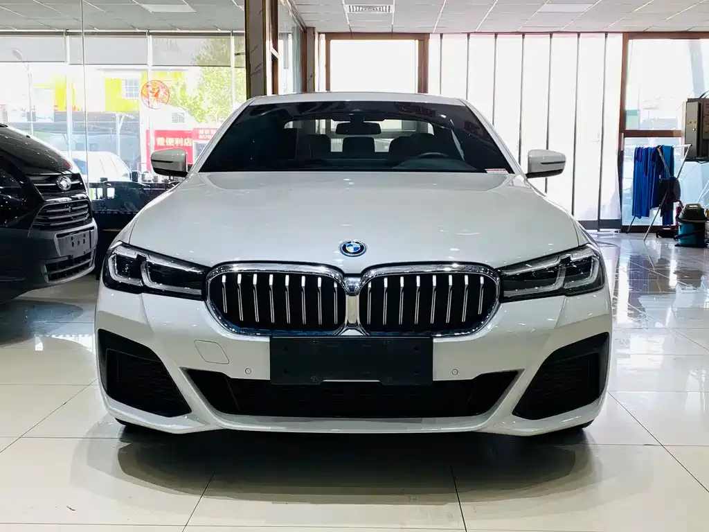 BMW 5 Series New Energy 2022 из CN, фото 9