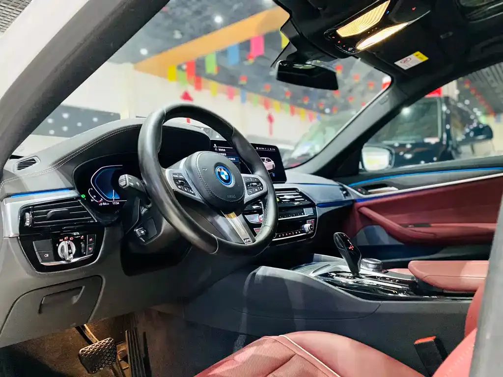 BMW 5 Series New Energy 2022 из CN, фото 10