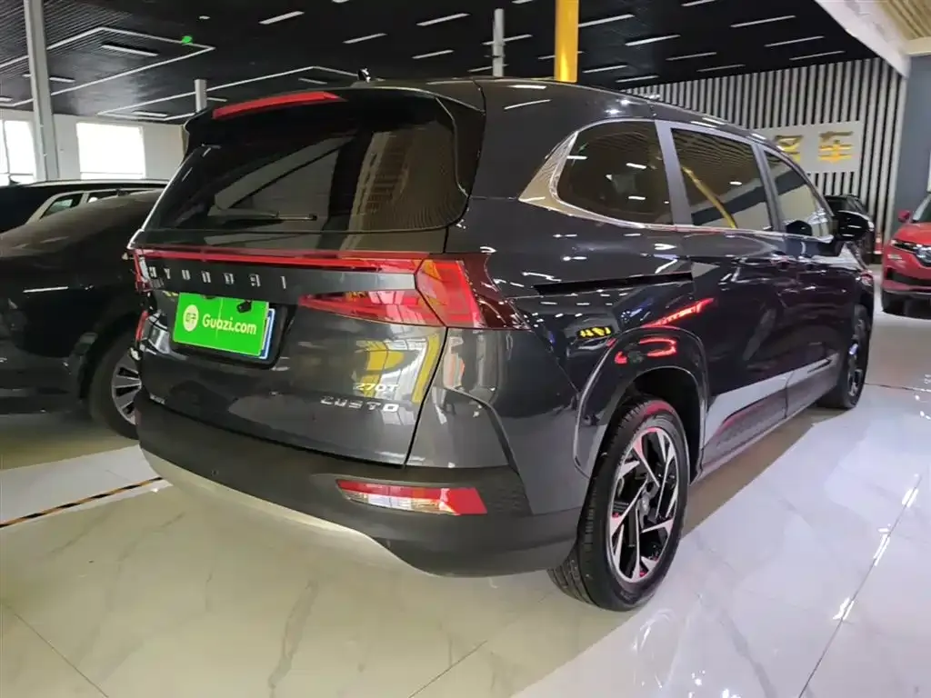 Hyundai Custo — фото 10