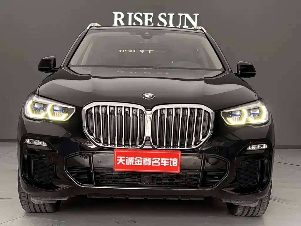 BMW X5 (Import) 2021 из CN, фото 4