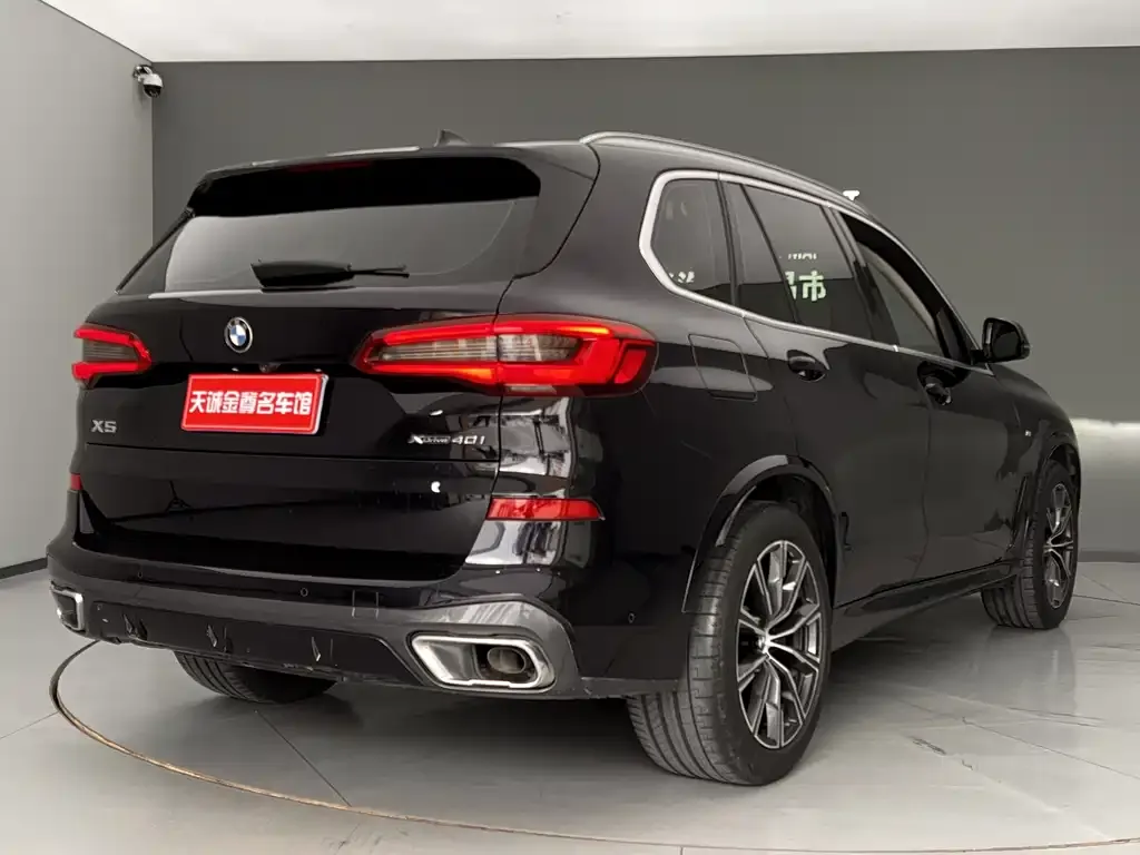 BMW X5 (Import) 2021 из CN, фото 9