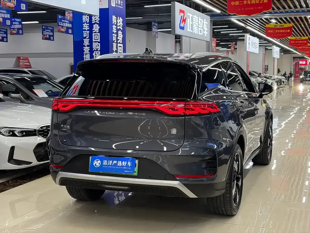 BYD Tang New Energy — фото 10