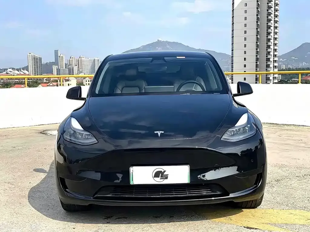 Tesla Model Y — фото 10