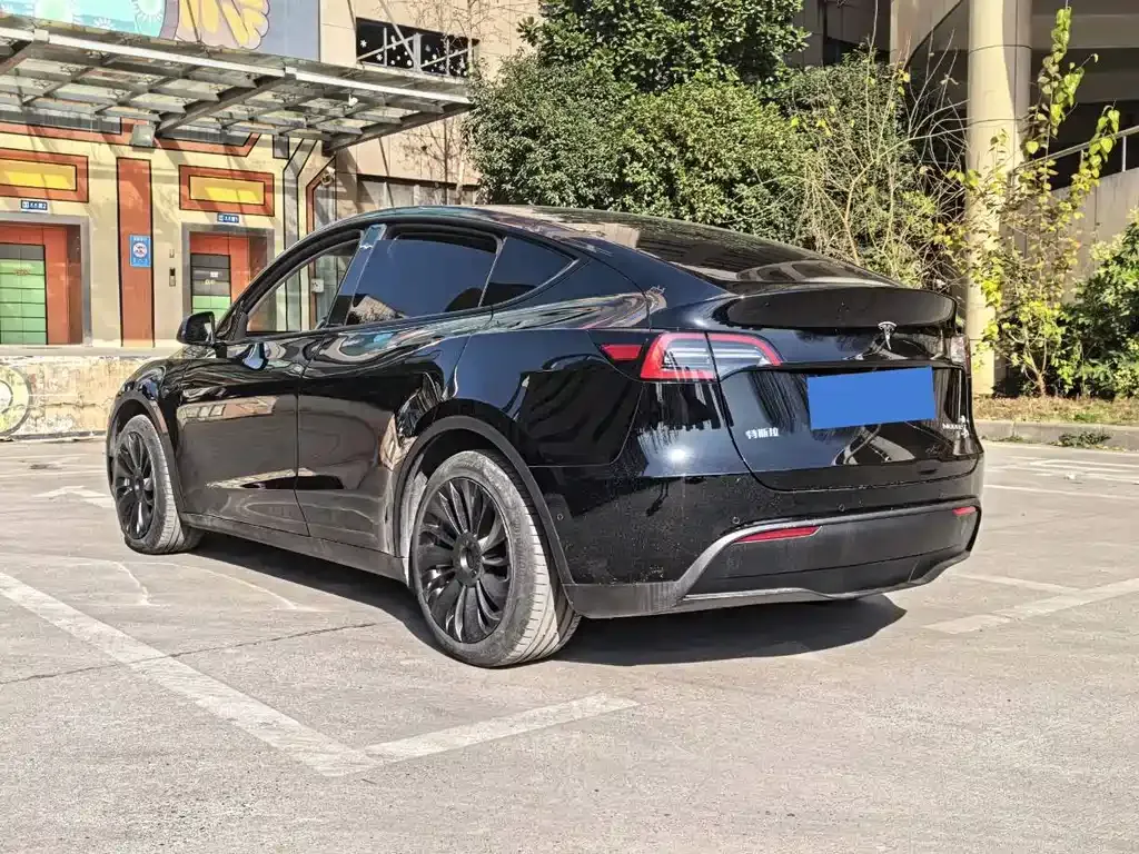 Tesla Model Y — фото 8
