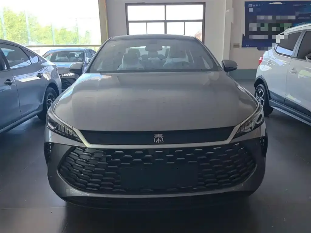 BYD Qin PLUS — фото 4