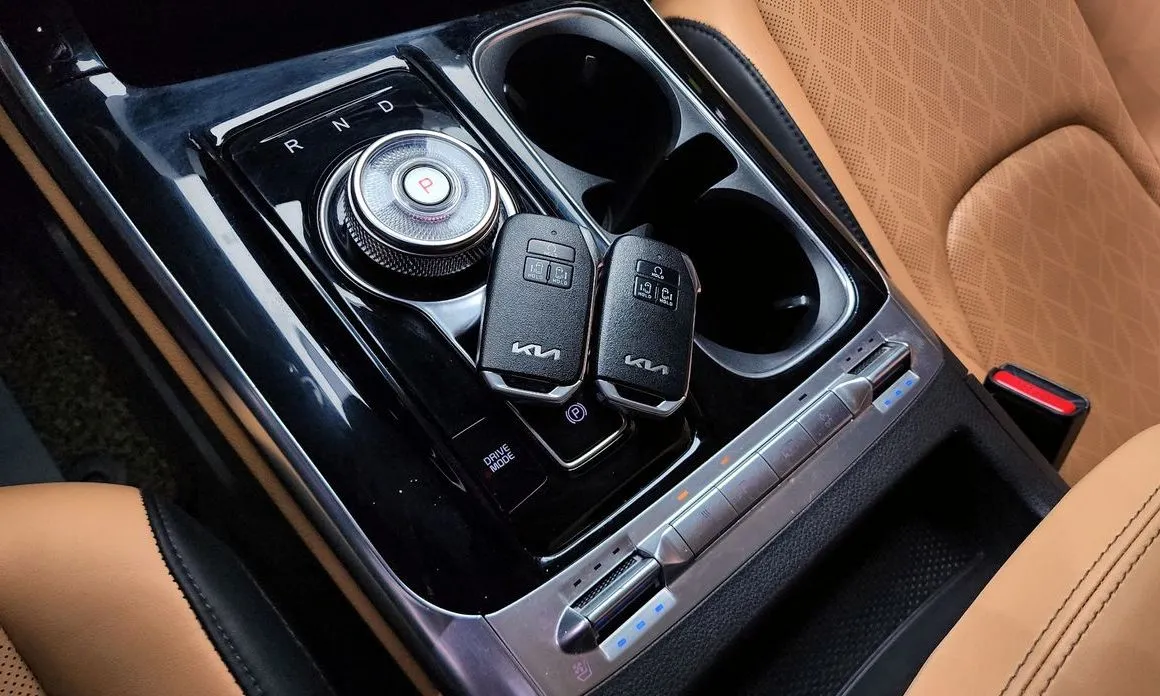 Kia Carnival — фото 10