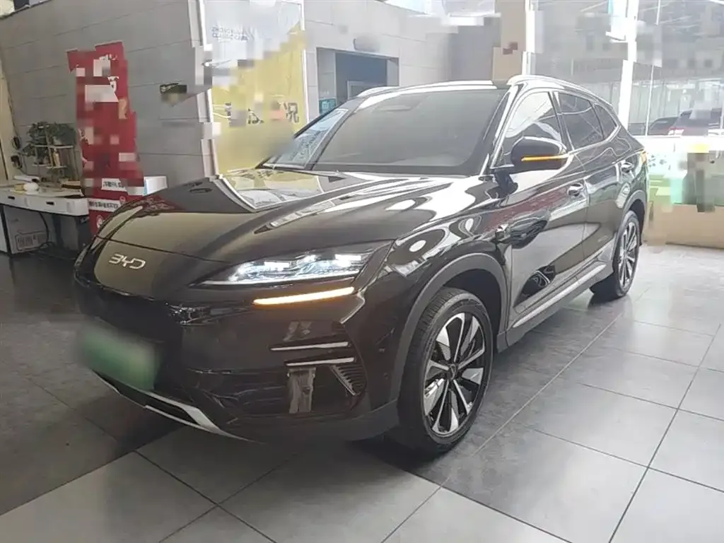 BYD PLUS New Energy — фото 1