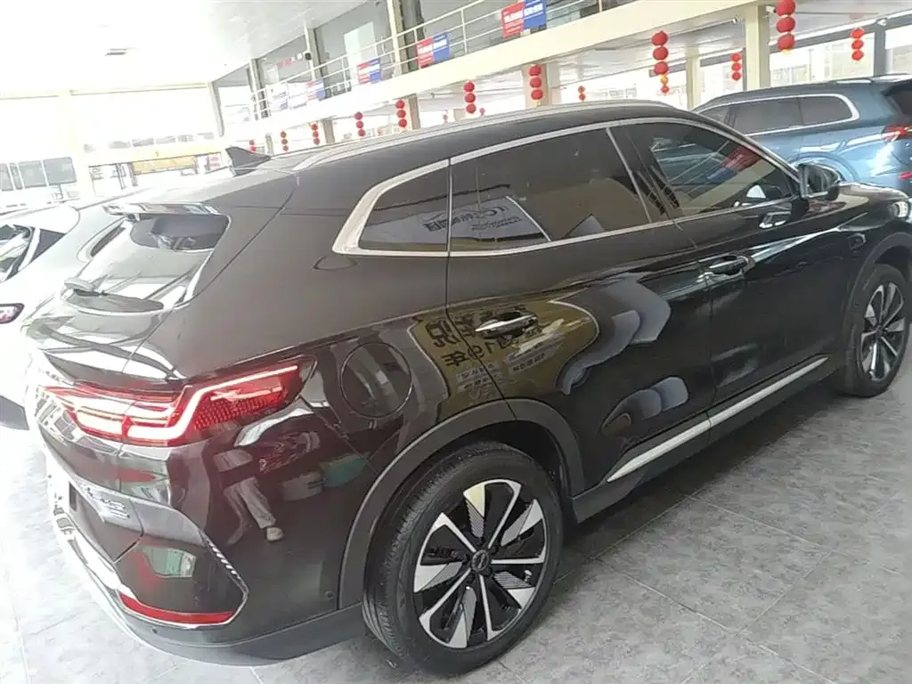 BYD PLUS New Energy — фото 6