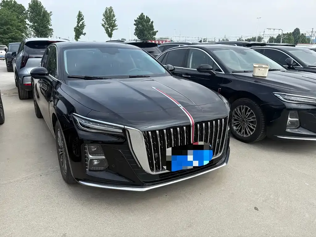 Hongqi H5 2024 из CN, фото 8