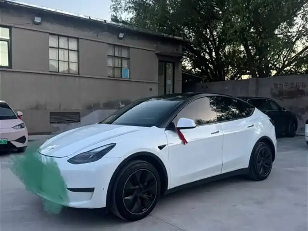 Tesla Model Y — фото 1