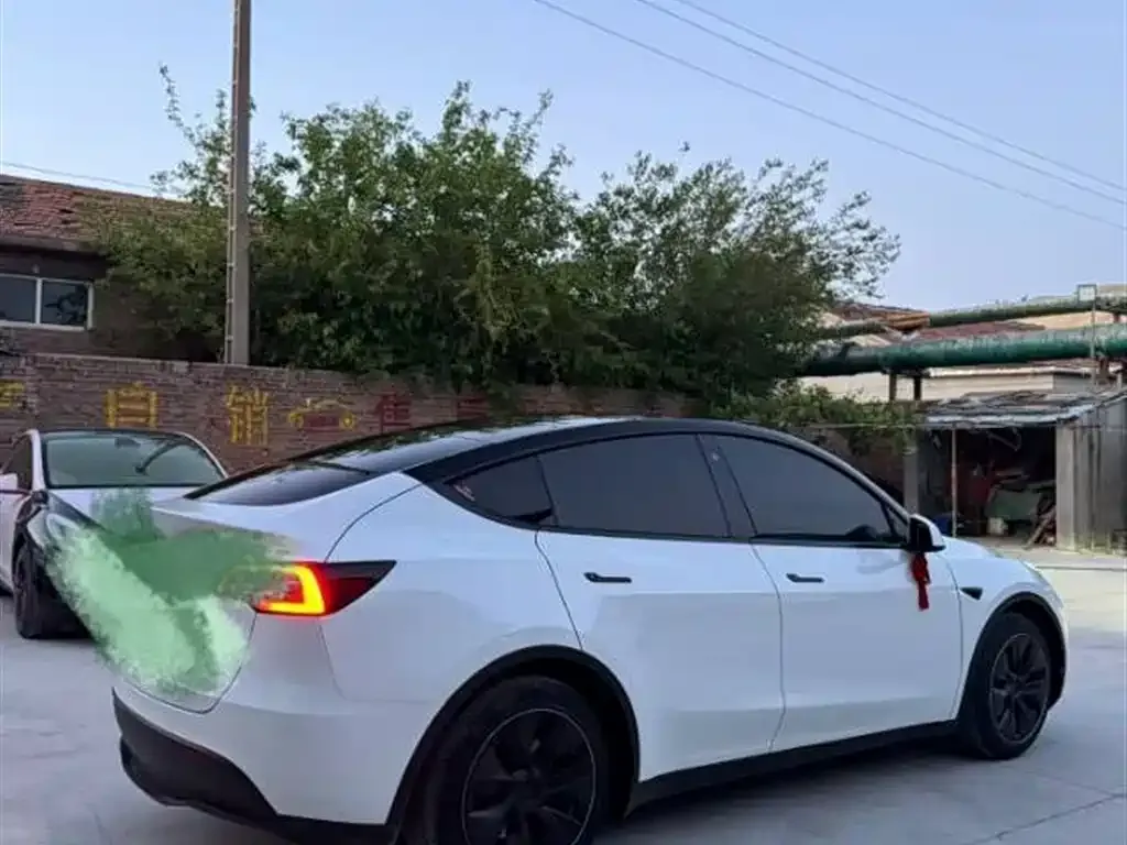 Tesla Model Y — фото 5