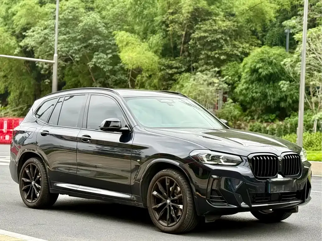 BMW X3 — фото 1
