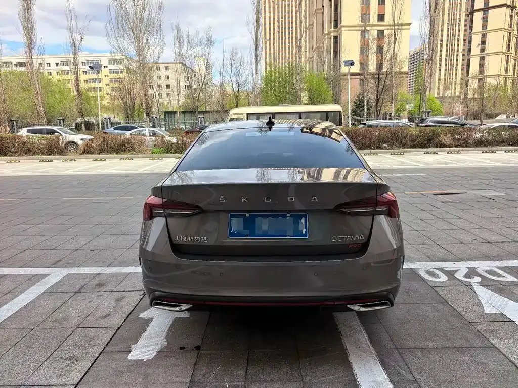 Skoda Octavia 2022 из CN, фото 8