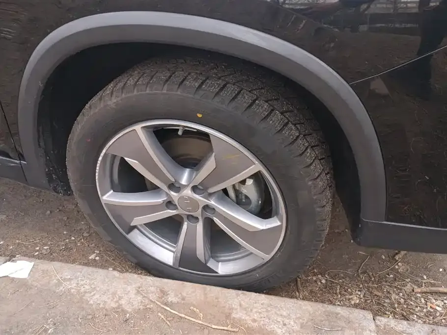 Geely Haoyue L 2023 из CN, фото 4
