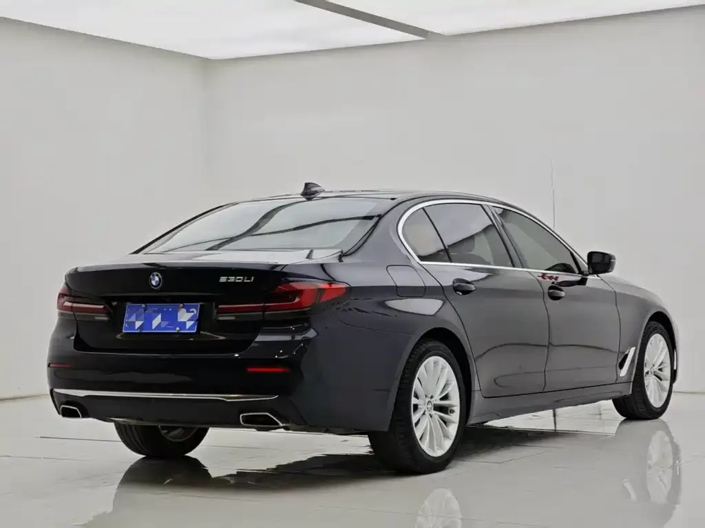 BMW 5 Series 2022 из CN, фото 6