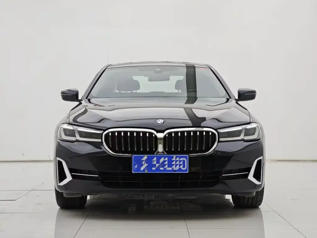 BMW 5 Series 2022 из CN, фото 7