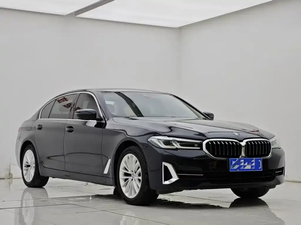 BMW 5 Series 2022 из CN, фото 4