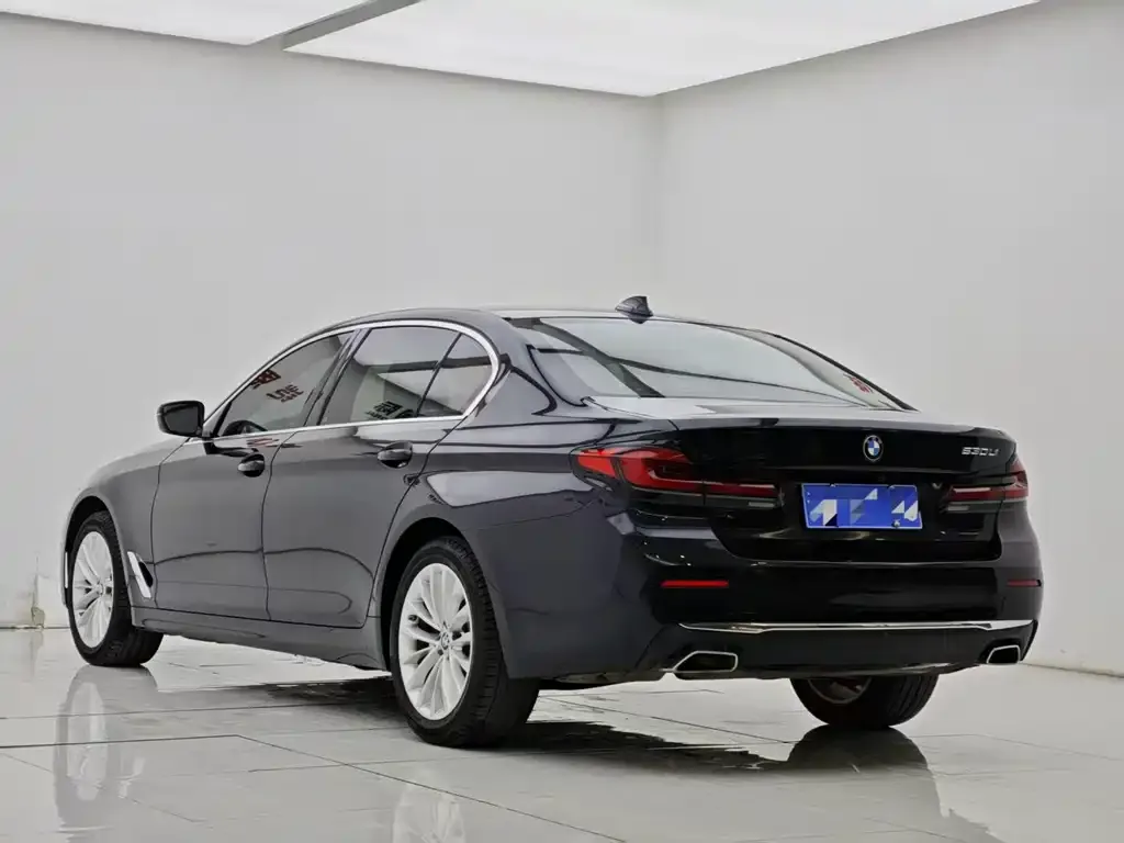 BMW 5 Series 2022 из CN, фото 5