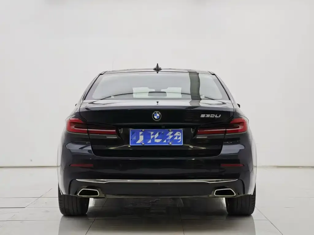 BMW 5 Series 2022 из CN, фото 3