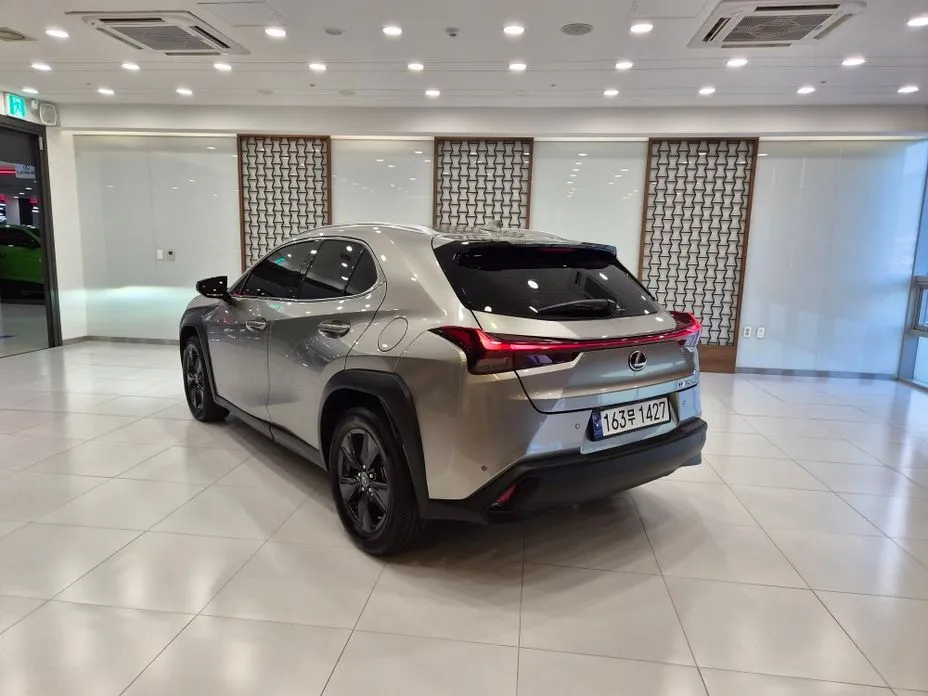 Lexus UX 2024 из KR, фото 6