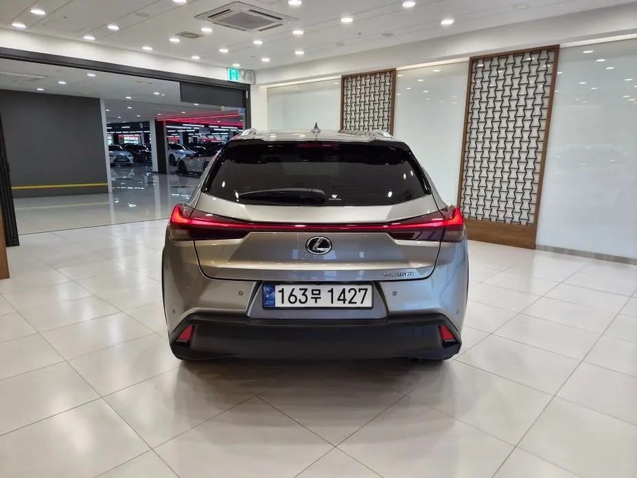 Lexus UX 2024 из KR, фото 4