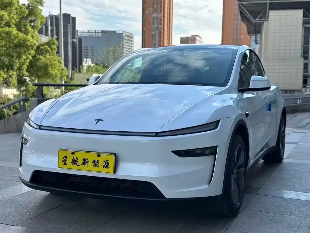 Tesla Model Y — фото 1