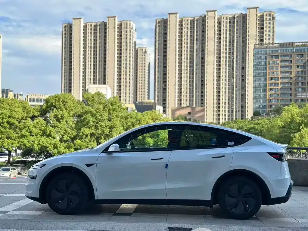 Tesla Model Y — фото 10