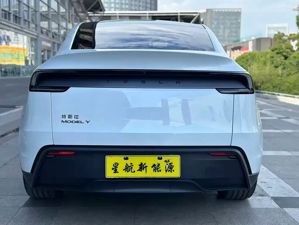 Tesla Model Y — фото 2