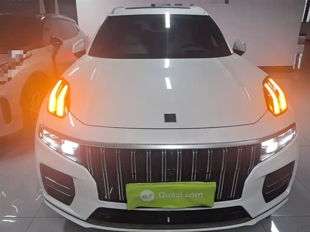 Lynk & Co 09 PHEV 2022 из CN, фото 7