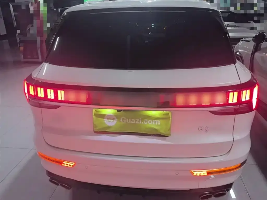 Lynk & Co 09 PHEV 2022 из CN, фото 2