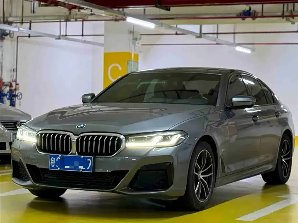 BMW 5 Series (Import)