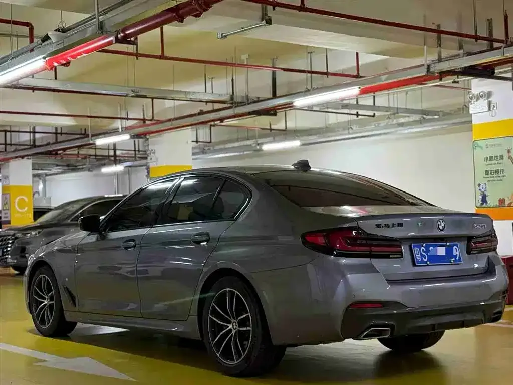 BMW 5 Series (Import) 2021 из CN, фото 8