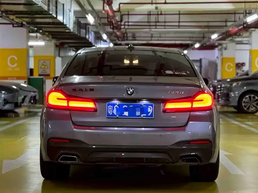 BMW 5 Series (Import) 2021 из CN, фото 6