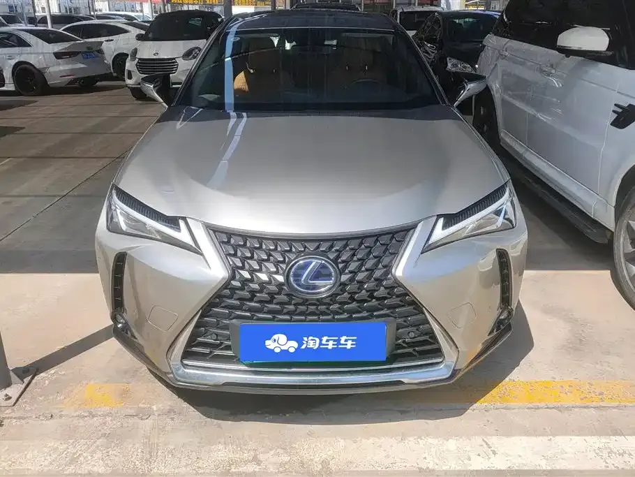 Lexus UX New Energy 2023 из CN, фото 10