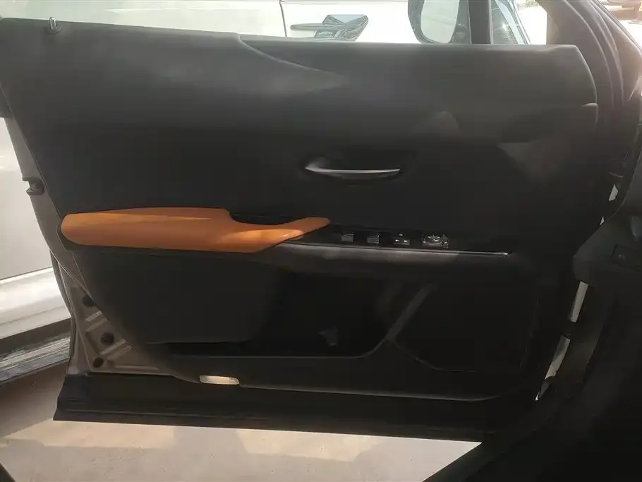 Lexus UX New Energy 2023 из CN, фото 7