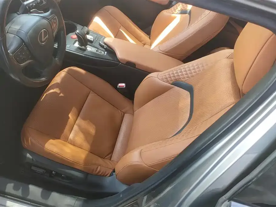 Lexus UX New Energy 2023 из CN, фото 5