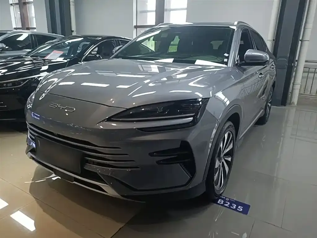BYD PLUS New Energy 2024 из CN, фото 5