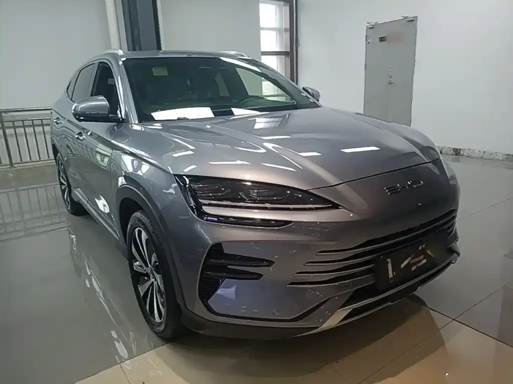 BYD PLUS New Energy 2024 из CN, фото 6