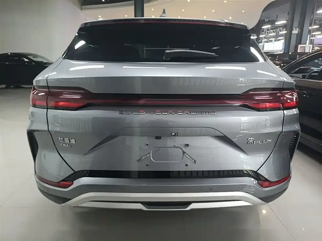 BYD PLUS New Energy 2024 из CN, фото 2