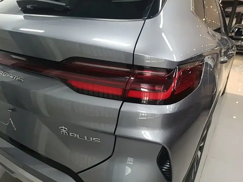 BYD PLUS New Energy 2024 из CN, фото 3
