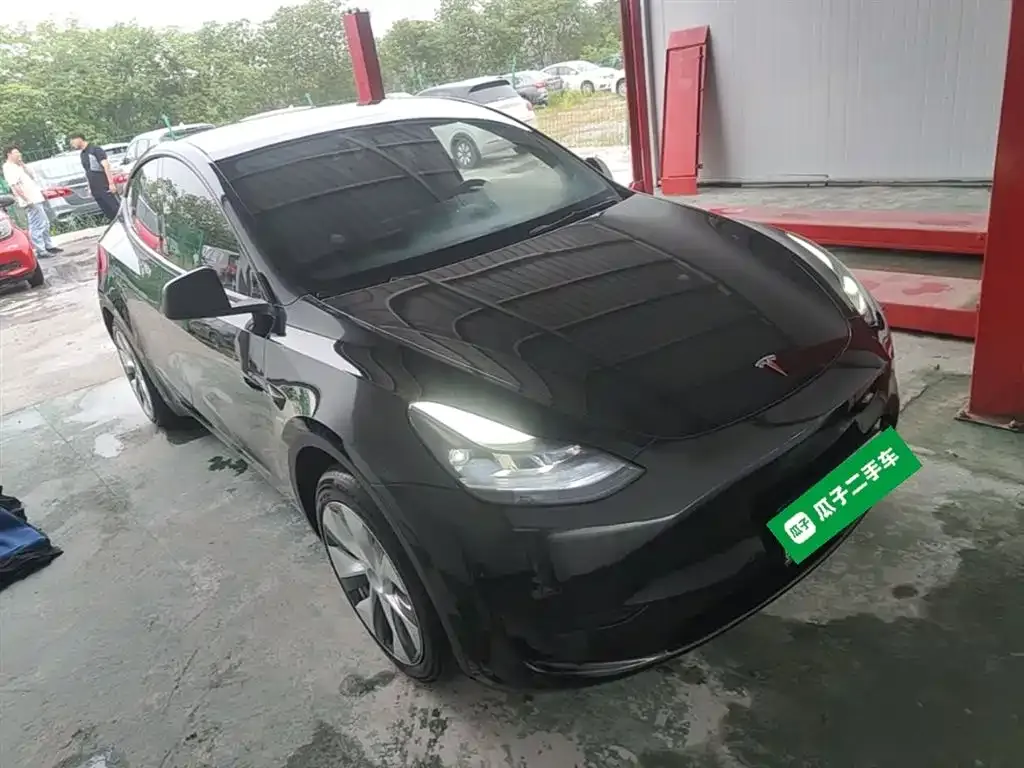 Tesla Model Y — фото 10