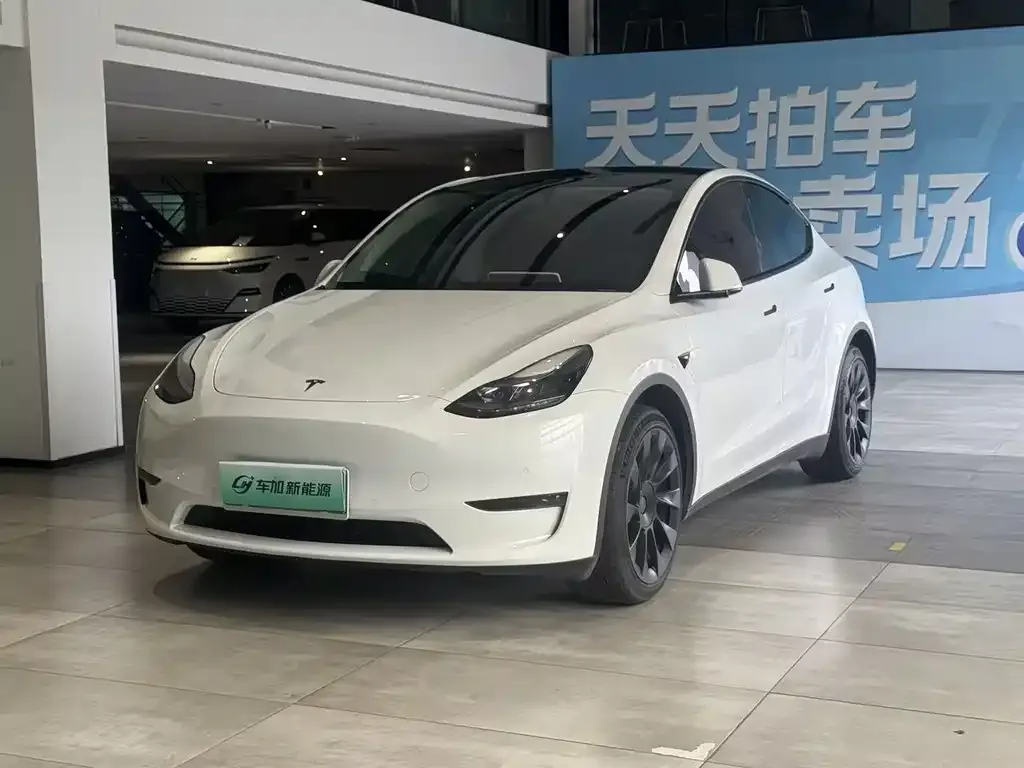 Tesla Model Y — фото 1