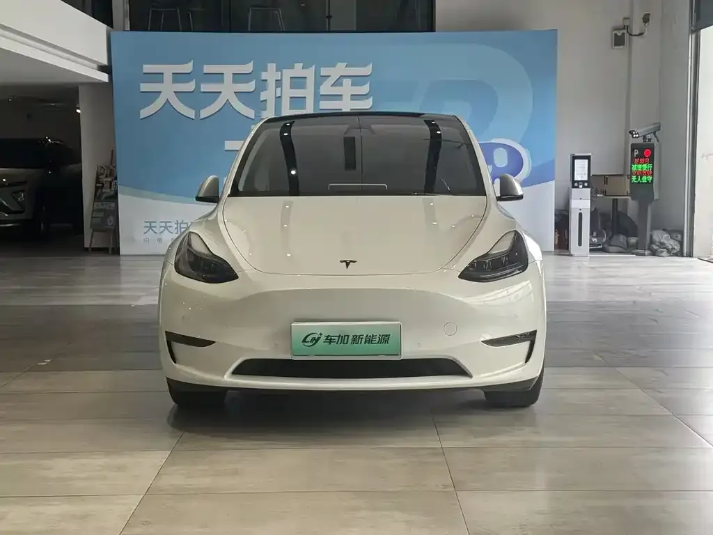 Tesla Model Y — фото 2