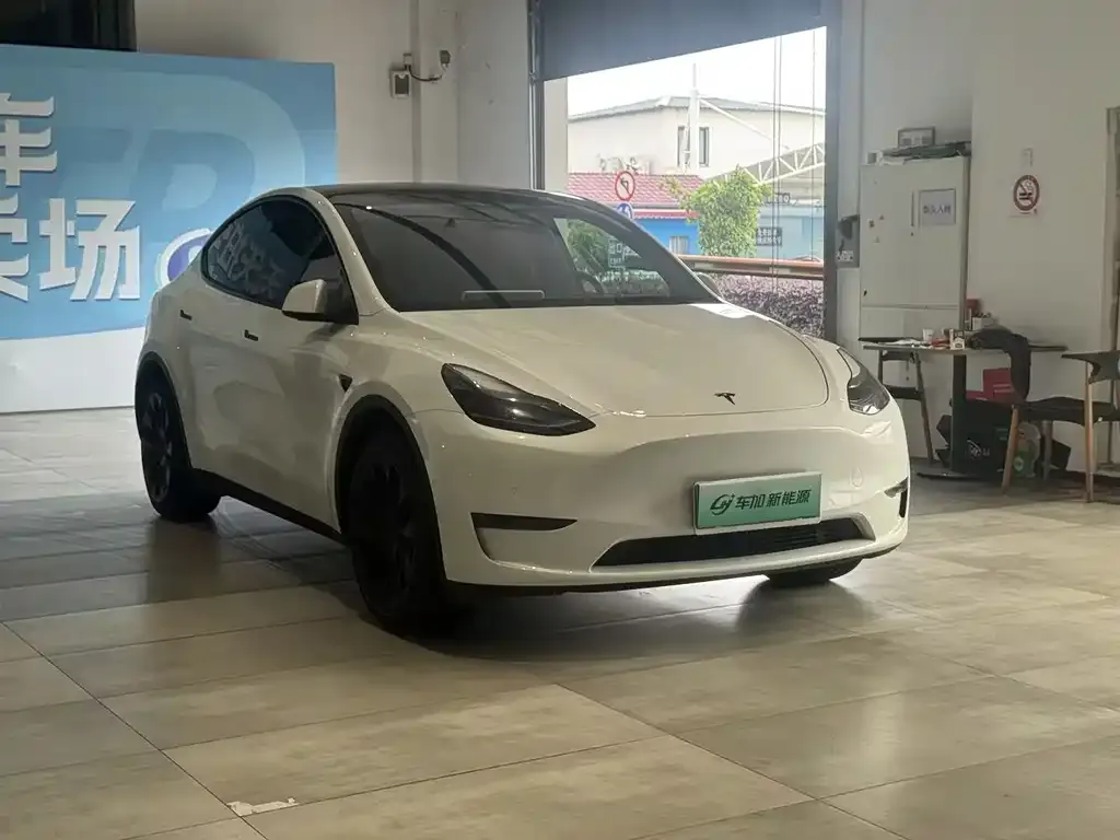 Tesla Model Y — фото 9