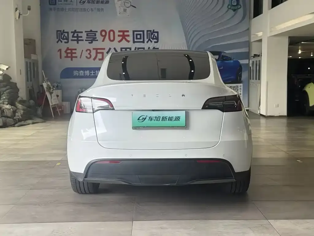 Tesla Model Y — фото 3