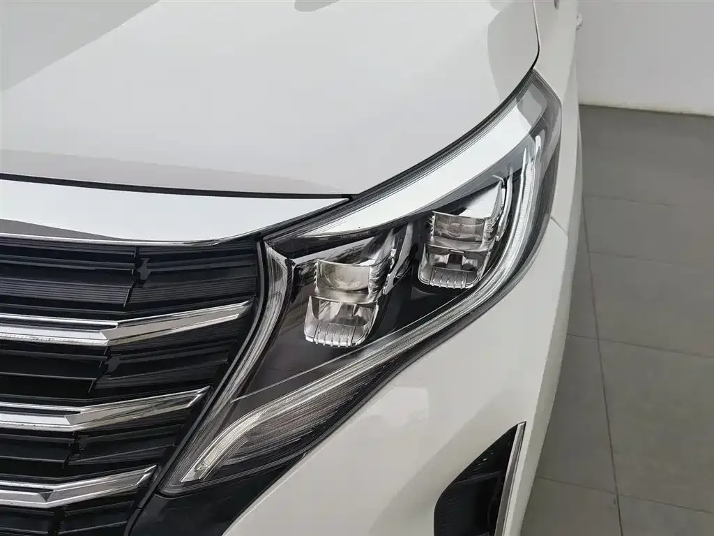 GAC Motor Trumpchi M8 2023 из CN, фото 4