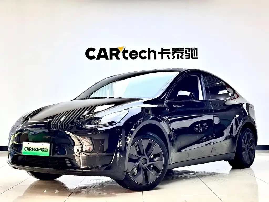 Tesla Model Y — фото 9