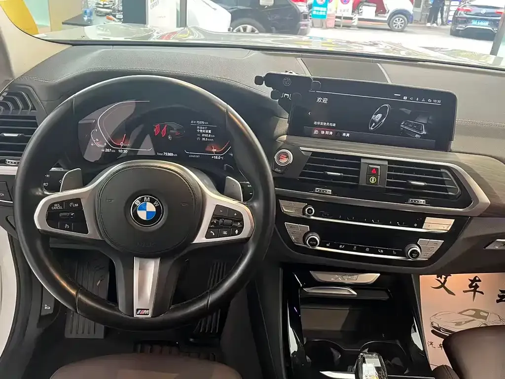BMW X3 2021 из CN, фото 10